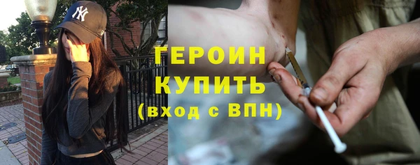 индика Алагир