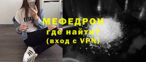индика Алагир