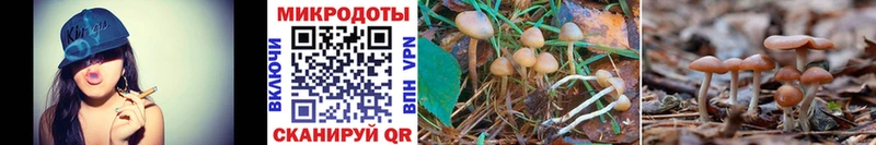 купить   Богучар  Псилоцибиновые грибы мухоморы 